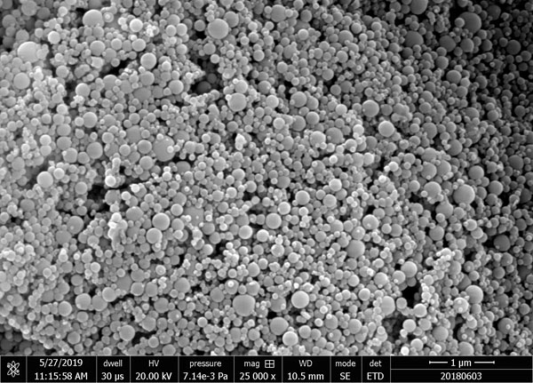 ���������X